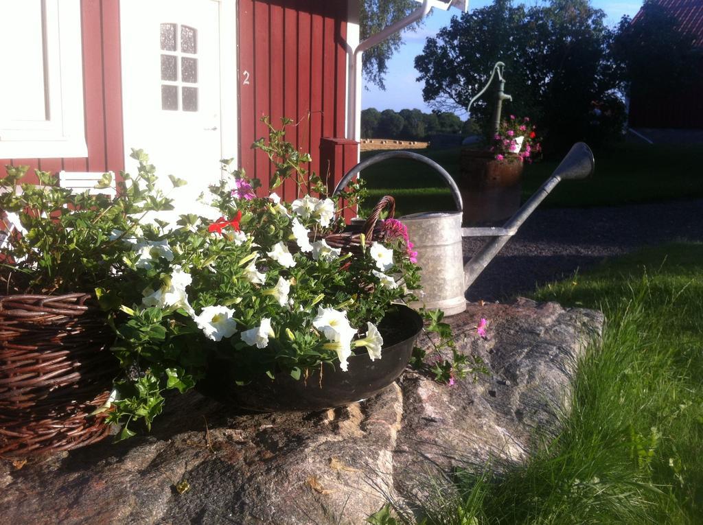Hogby Spa & Konferens Borensberg Rum bild